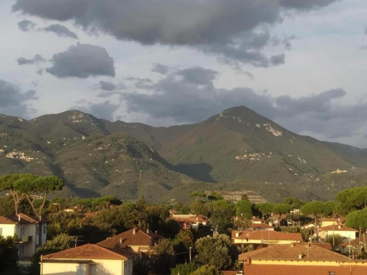 Hotel Villa Barsanti Pietrasanta Εξωτερικό φωτογραφία